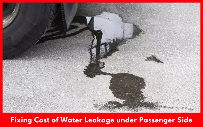 Fixing Cost of Water Leakage under Passenger Side