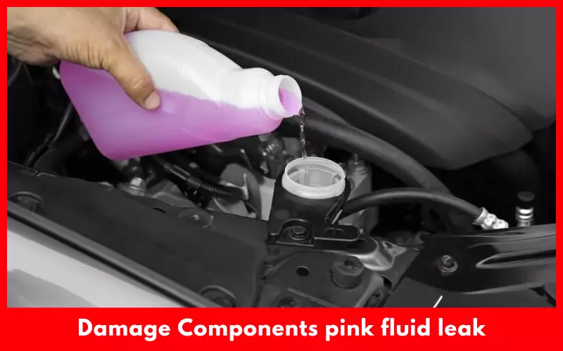 Damage Components pink fluid leak