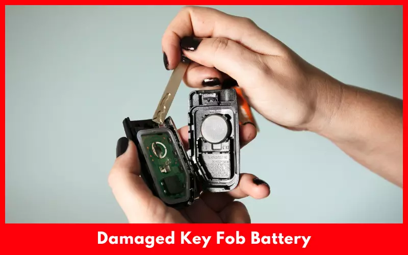 Damaged Key Fob Battery