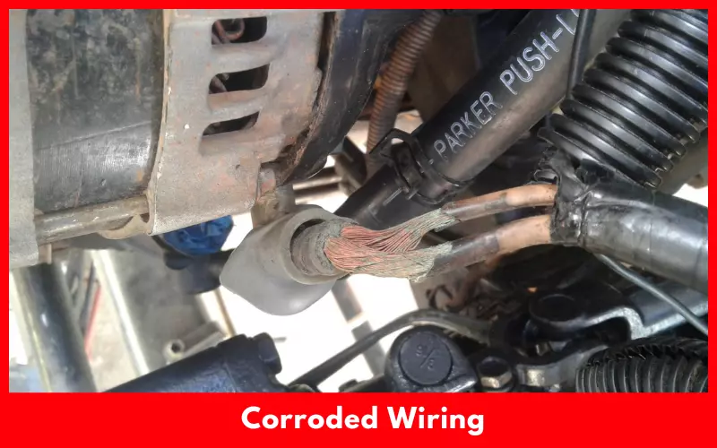Corroded Wiring