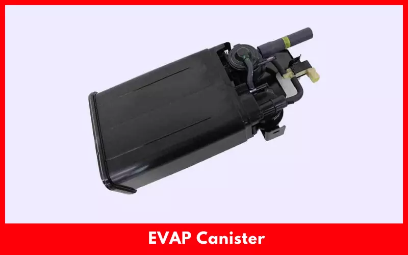 EVAP Canister