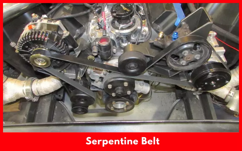 Serpentine Belt