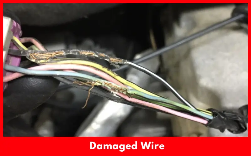 Damaged Wire