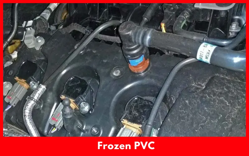 Frozen PVC