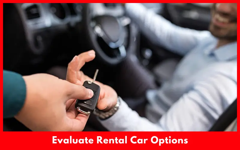Evaluate Rental Car Options