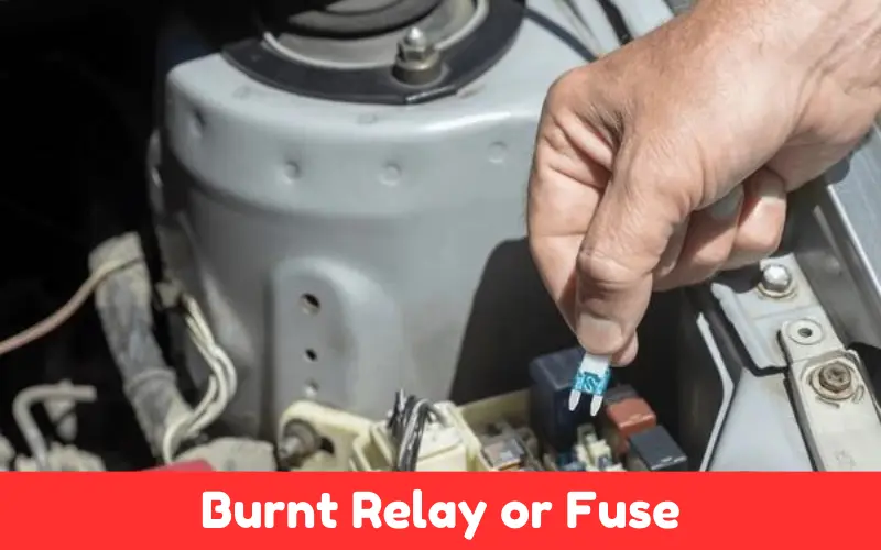 Burnt Relay or Fuse