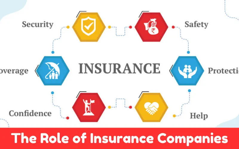 The Role of Insurance Companies