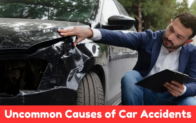 Uncommon Causes of Car Accidents From Wildlife Encounters To Rare Mechanical Failures