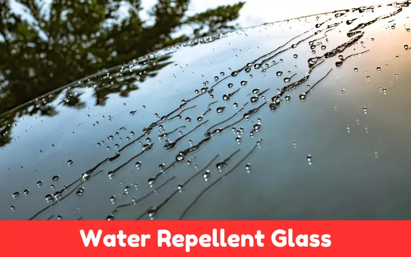 Water Repellent Glass