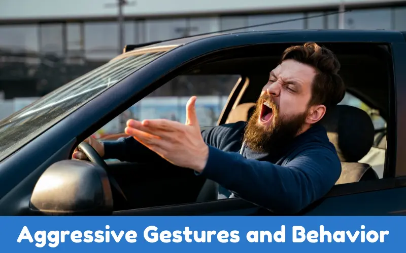 Aggressive Gestures and Behavior