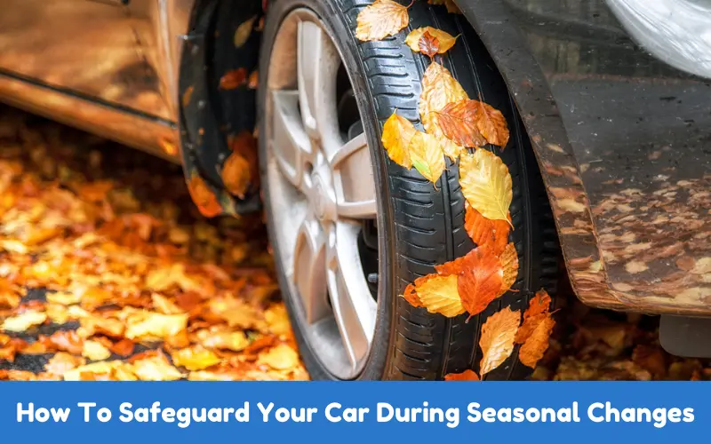 How To Safeguard Your Car During Seasonal Changes